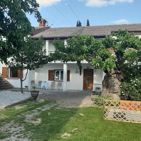 Šmarje Country House Gazon旅馆 外观 照片